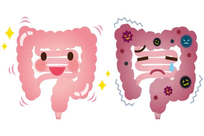 Leaky Gut How It Affects The Entire Body And Overall Health