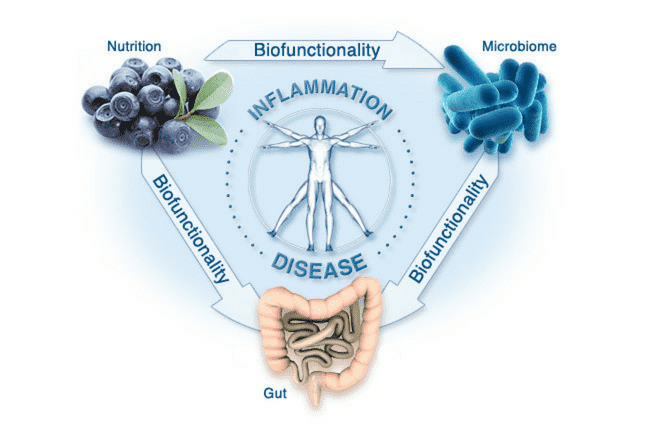 Fighting inflammation: How can you use food to regain your health